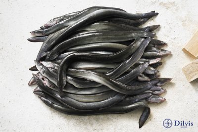 30 kg verse paling schoongemaakt en gepekeld
