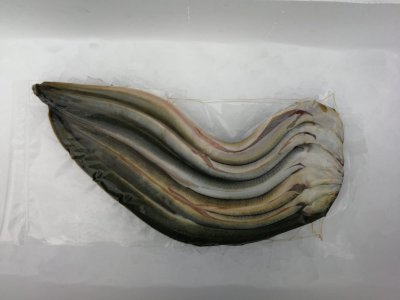 1 kg IJsselmeer aal middel - gezouten