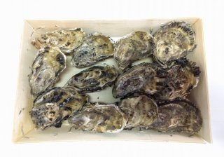 Fine de Claires oesters (12 st.)