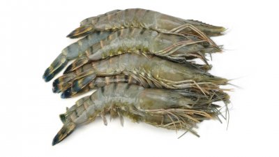 Gamba Ongepeld (1 KG)