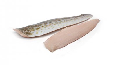 500 gr. Pietermanfilet