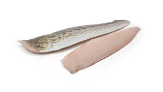 500 gr. Pietermanfilet