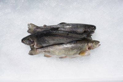 Forel - 1 kg