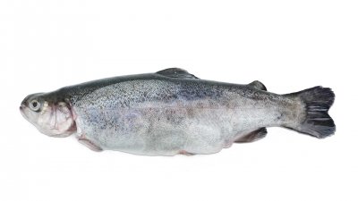 Forel gepekeld - 1 kg