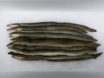 3 kg IJsselmeeraal gestript