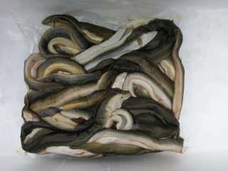 5 kg IJsselmeer Aal - Middel gestript - dv