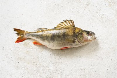 1 kg Baarsfilet met huid