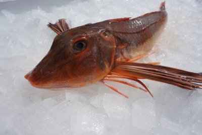 1 kg Wilde Poonfilet